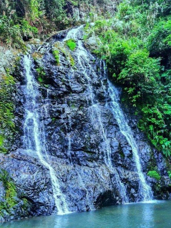 46岁秋瓷炫近照认不出！年龄感强似寻常大婶，与巅峰时期判若两人